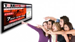 TC Green Media | Digital Signage Solutions